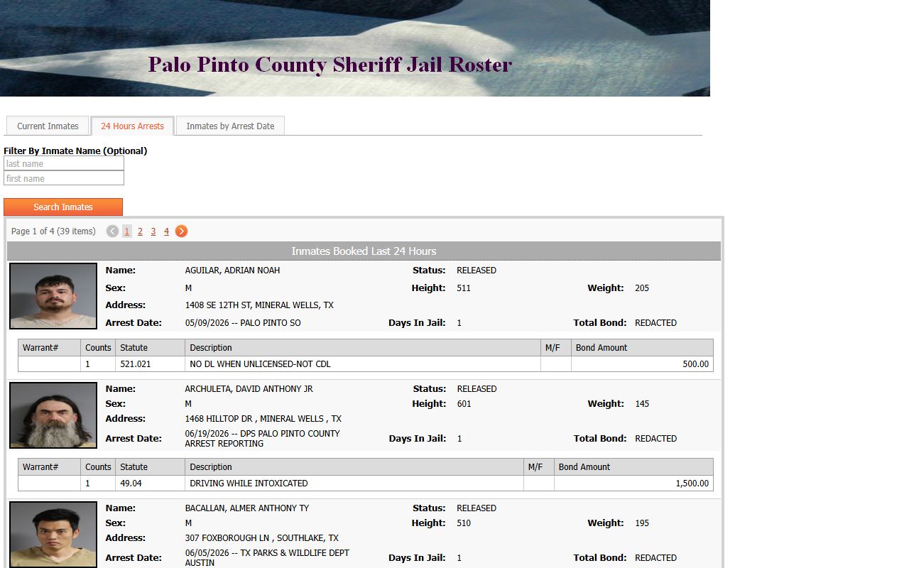Palo Pinto County jail mugshots on recent booking records